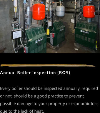 Annual Boiler inspection (BO9)   Every boiler should be inspected annually, required or not, should be a good practice to prevent possible damage to your property or economic loss due to the lack of heat.